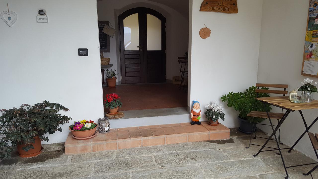 B&B Podere Montese Villafranca in Lunigiana Εξωτερικό φωτογραφία
