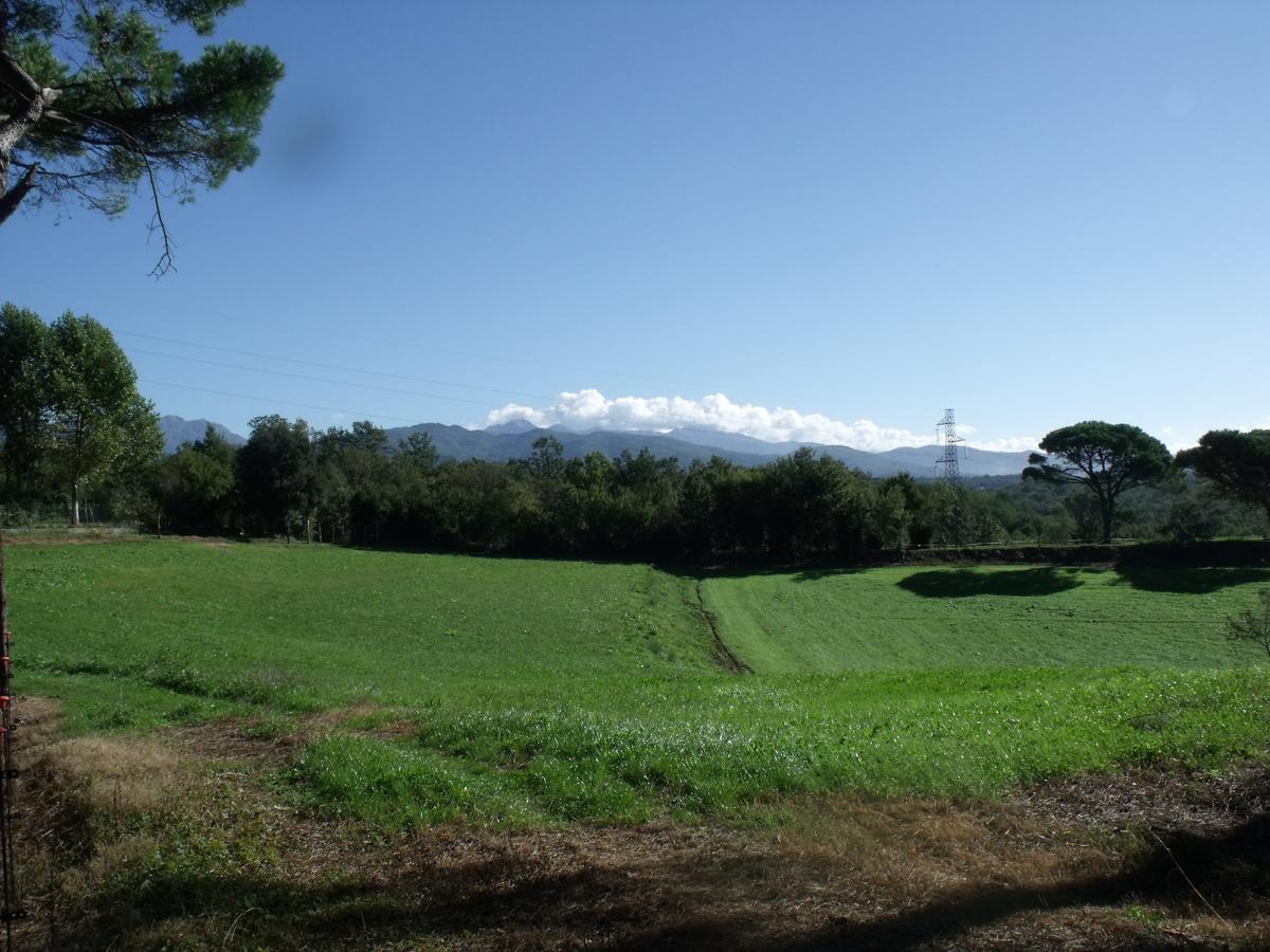 B&B Podere Montese Villafranca in Lunigiana Εξωτερικό φωτογραφία