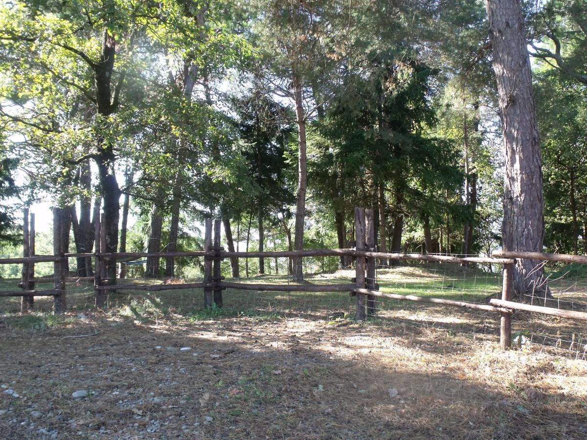 B&B Podere Montese Villafranca in Lunigiana Εξωτερικό φωτογραφία