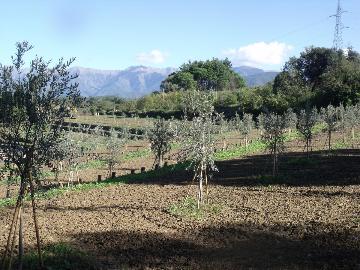 B&B Podere Montese Villafranca in Lunigiana Εξωτερικό φωτογραφία